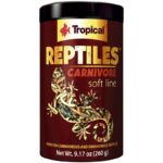 Tropical – Reptile Carnivore
