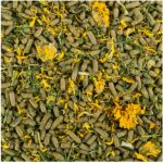 Tropical – Reptile Herbivore - Image 2