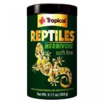 Tropical – Reptile Herbivore