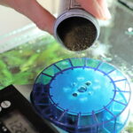 Dupla DuplaMatic Automatic Feeder - Image 5