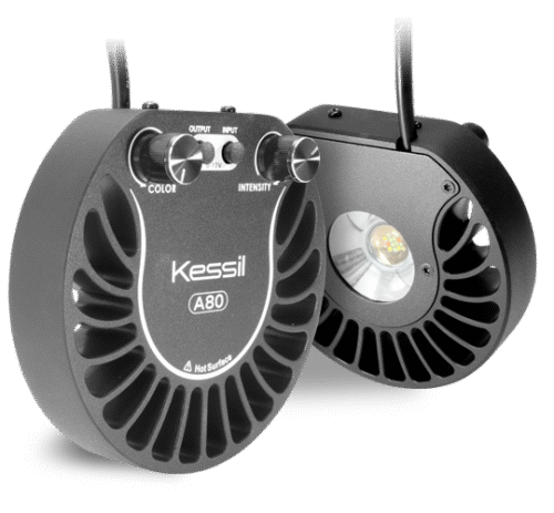 Kessil A80 Tuna Blue - Image 2