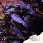 2Hr Aquarist APT SKY - Image 4