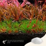 2Hr Aquarist APT SKY - Image 3