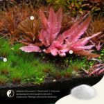 2Hr Aquarist APT SKY - Image 5