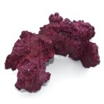 Real Reef Rock-Arch per piece