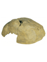 Exo Terra Cave - Image 3