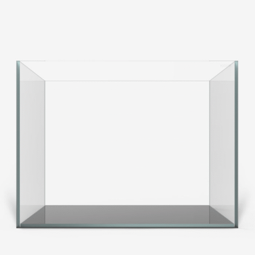 WaterBox Clear 2420 - Image 5