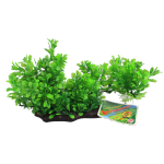 Large Hygro Branch Log 30 x 16cm