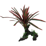 Giant Red/Green Spinifex 26cm