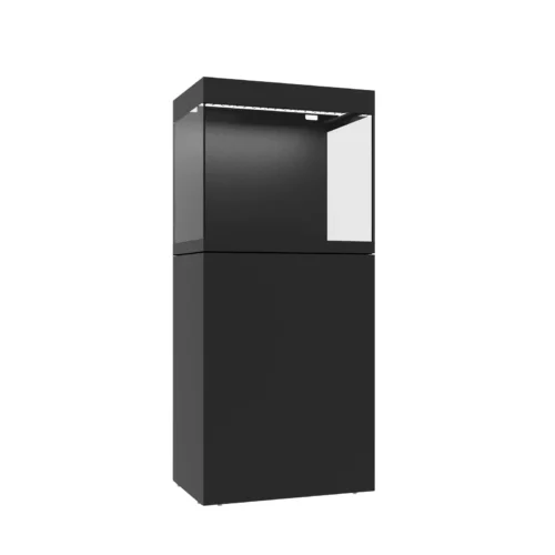 Waterbox - Eden - Image 3