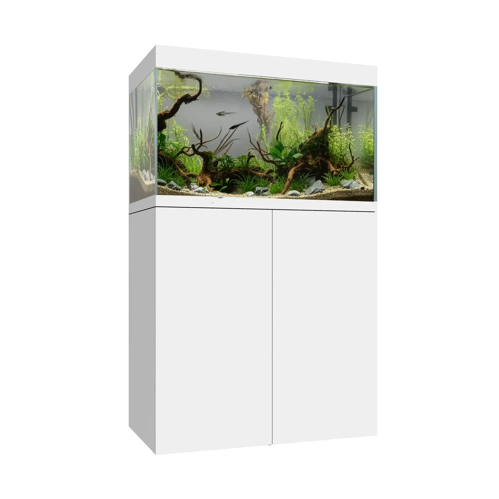 Waterbox - Eden X