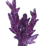 Real Reef Rock-Branch Rock per kg