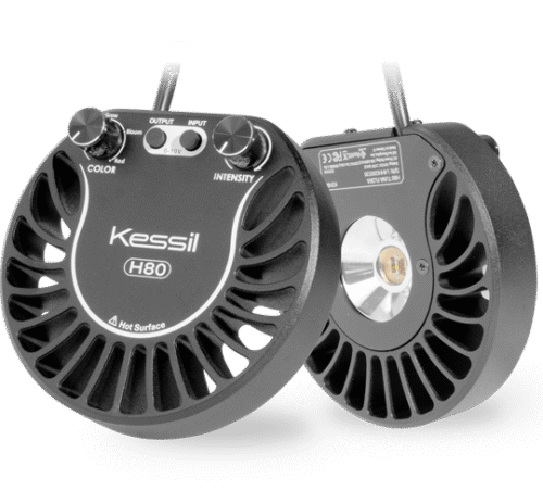 Kessil Flora H80
