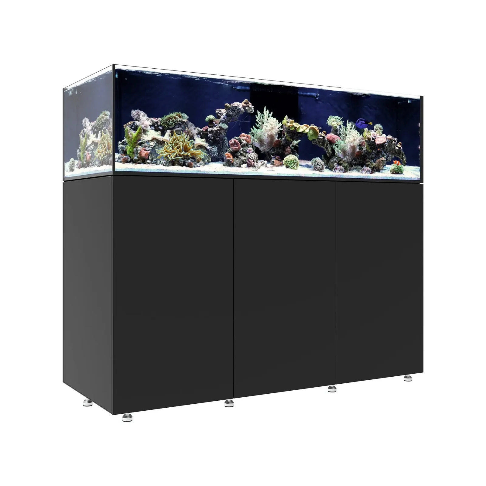 Waterbox INFINIA Frag 155.5