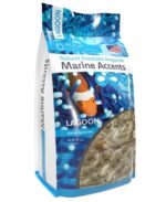Marine Accents - Lagoon