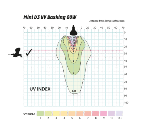 D3 UV Basking Lamp 80watt - Image 2