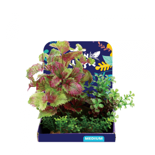 Amazon Jungle Plants 15cm - Image 7