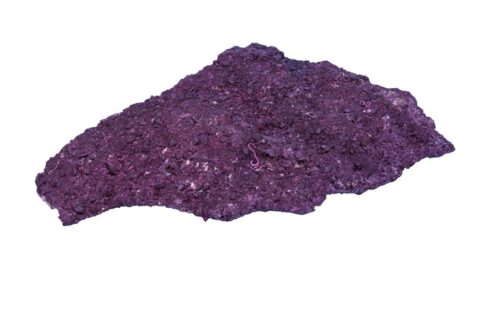 Real Reef Rock-Shelf Rock per kg