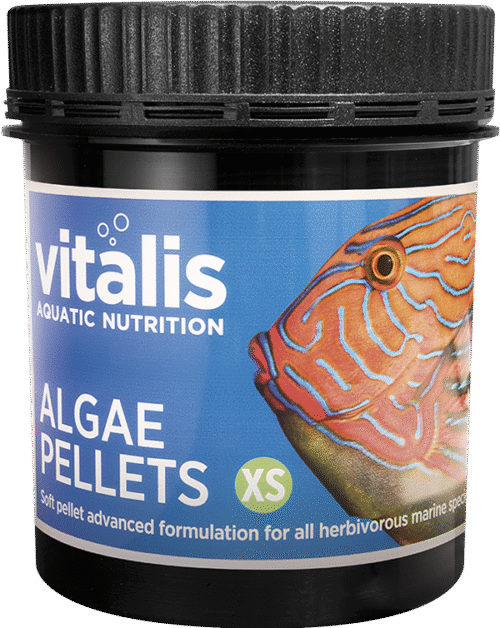 Vitalis - Algae Pellets 1mm - Image 2