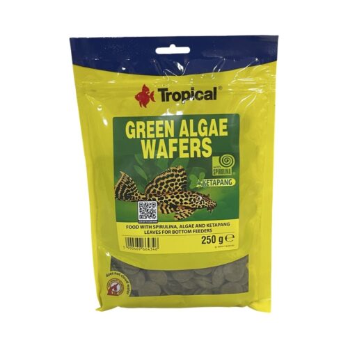 Tropical - Green Algae Wafers - Image 2