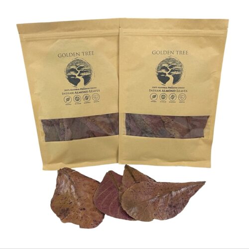 Golden Tree - Almond Leaves