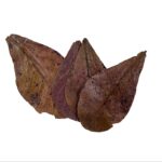 Golden Tree - Almond Leaves - Image 2