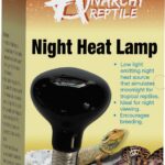 Anarchy Night Heat Lamp