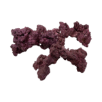 Real Reef Rock-Arch per piece - Image 3