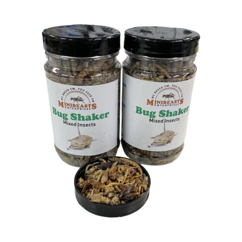 MiniBeasts - Bug Shaker