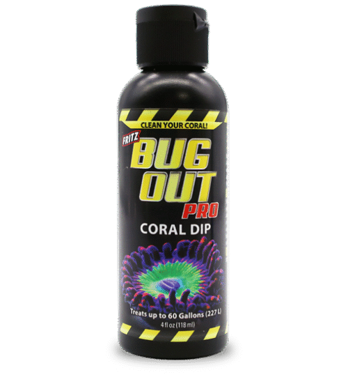 Fritz Bug Out Coral Dip