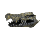 Croc Skull - Image 2