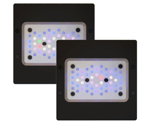 RADION XR15 G6 - Image 2
