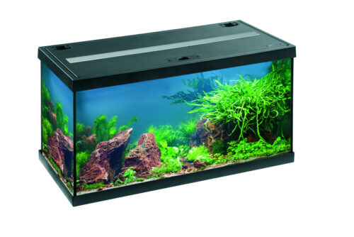 Eheim Aquastar54LED - Image 5