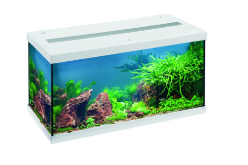 Eheim Aquastar54LED - Image 6