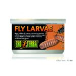 Exo Terra Black Solder Fly Larvae 34gm