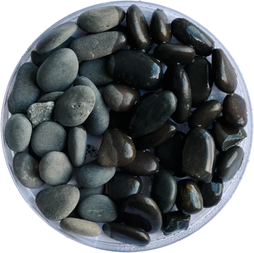 Golden Tree Black Stone Gravel