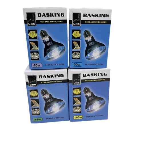 URS - Basking Spots Daylight