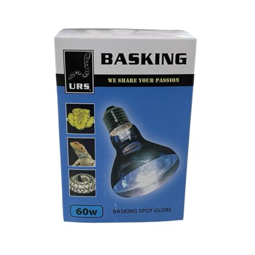 URS - Basking Spots Daylight - Image 3