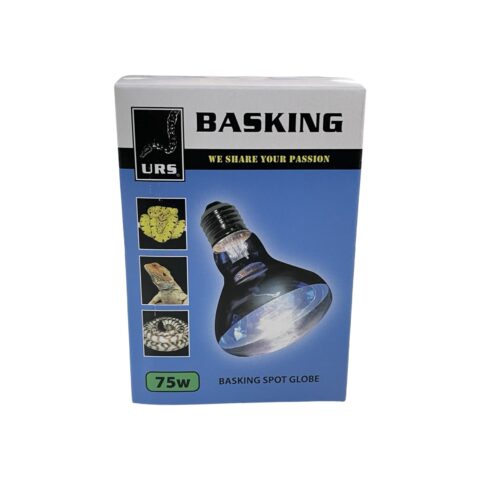 URS - Basking Spots Daylight - Image 4