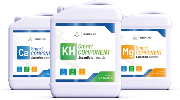 imgSmartComponentMain Reef Factory - Smart Components 3 Pack - Image 1