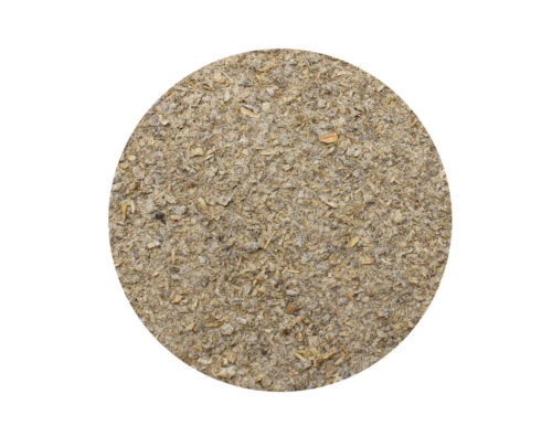 JurrassiPet - JurassiVite - Image 2