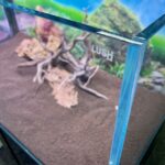 Lush River - Aquascaper 90 - Image 2