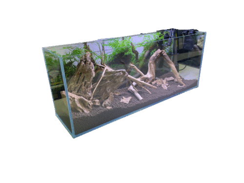 Lush River - Aquascaper 60 Low - Image 2