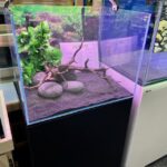 Lush River - Aquascaper 60