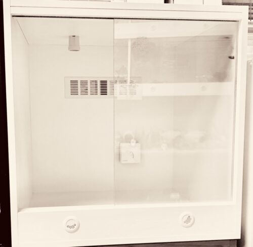 Reptile Box 2x2x2 Thermostat +1 Edison Fitting