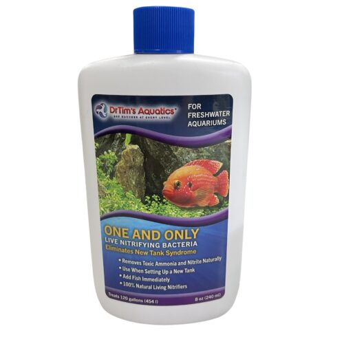 Dr Tim's  - One & Only FRESHWATER - Image 4