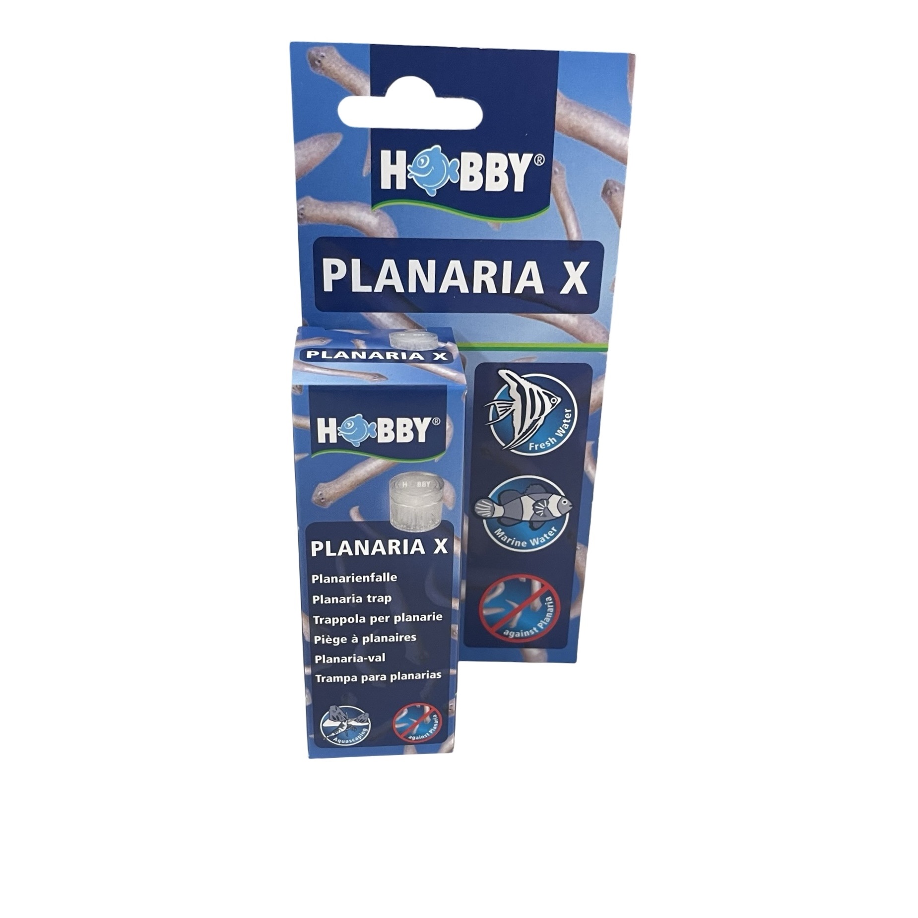 Dupla Planaria X Trap