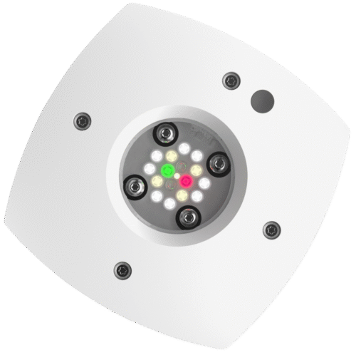 AI Prime Freshwater HD - Image 3