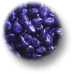 Purple Painted Gravel