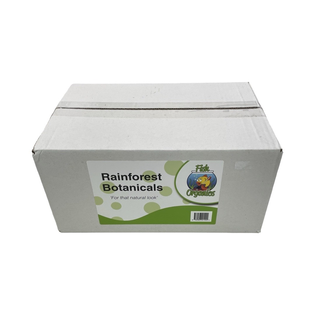 rainforest Rainforest Botanicals - Image 1